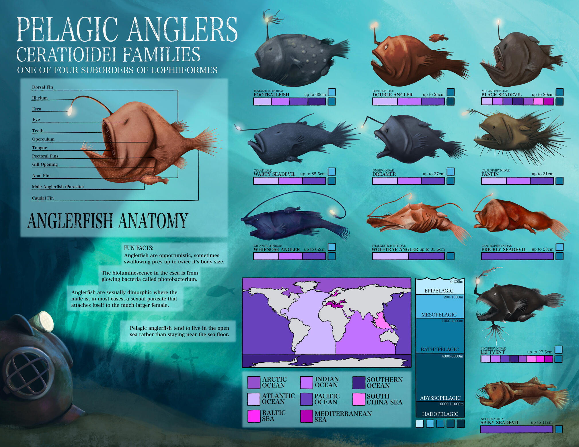 Pelagic Anglers Infographic